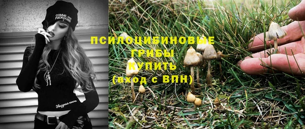 хмурый Майский