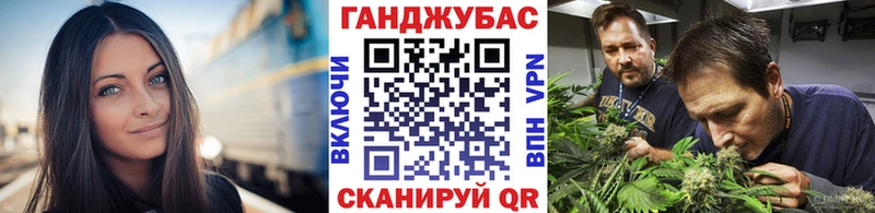 Бошки Шишки планчик  Подольск 